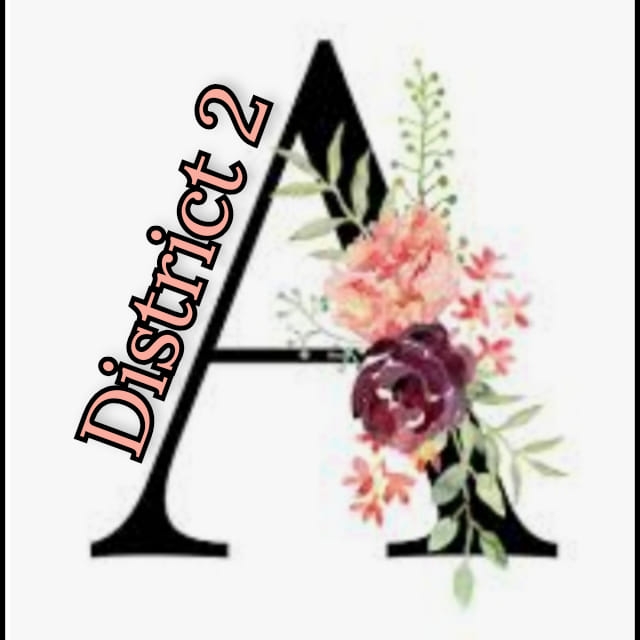 District IIA Club #401 logo