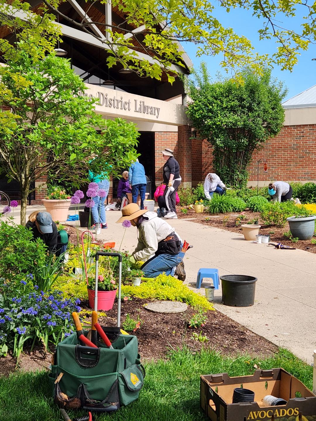 Saline District Library gardens